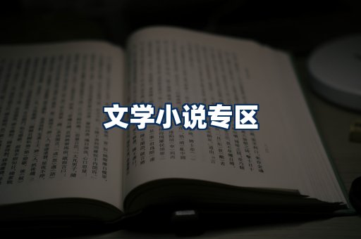 文学小说PDF展示